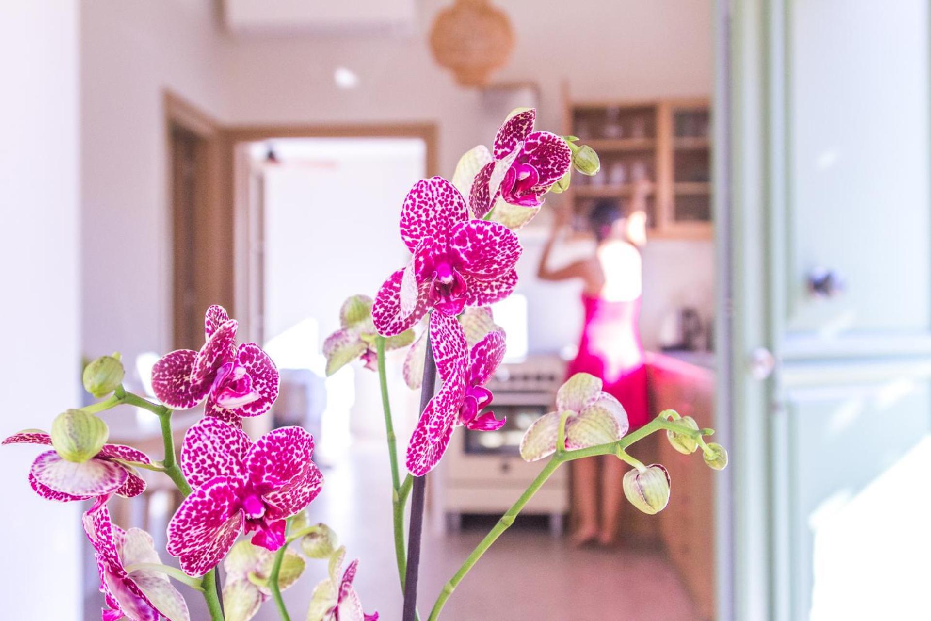 Petra Boutique Villas Arginonda Номер фото